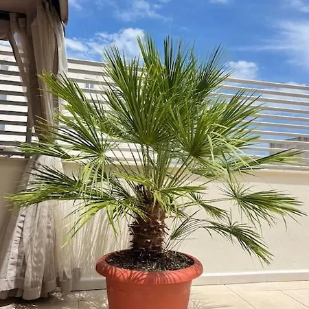Piso Con Terraza A 5 Min Del Mar * Alcanar