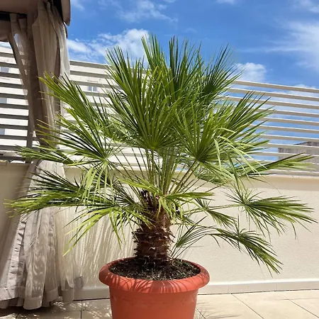 Piso Con Terraza A 5 Min Del Mar Apartment